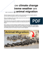 Here's How Climate Change and Extreme Weather Are Affecting Animal Migration 2