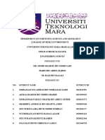 Report Engine Group 1