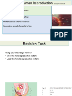 U4 Lesson 4 Human Reproduction