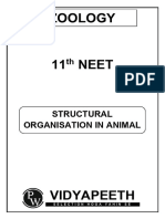 11 - Structural Organisation in Animals - Zoology - NEET - DPP - 1 To 8