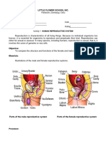 Activity On Human Reproductive Systems