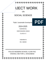 Project Work: Social Science