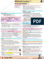 Cell Cycle and Cell Division PowerNotes by KT Sir