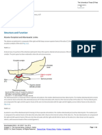 Chapter 11 - The Cervical Spine