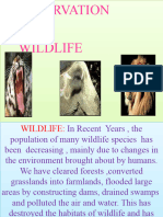 Conservation of Wildlife