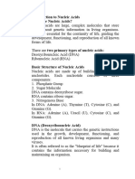 Primary Structure of Nucleic Acid