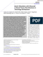 Adv Funct Materials - 2024 - Chen - Potential of Photoelectric Stimulation With Ultrasmall Carbon Electrode On Neural