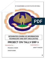 Tally Erp