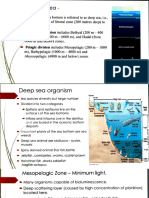 Adaptation of Deep Sea Organisms