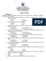 Diagnostic Assessment DM 10