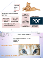 Toxoplasma Ilovepdf - Merged