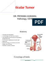 TESTICULARTUMOURS