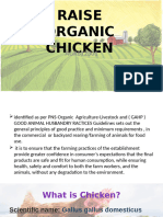 Raise Organic Chicken 240603053217 7b885462