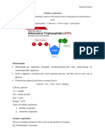 Cellular Respiration