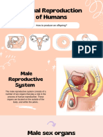 Sexual Reproduction - Yamson, Vanna A. - 20241006 - 130901 - 0000