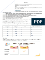 Activity-2 Cell