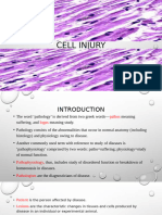 Cell Injury and Adaptation