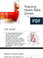 Training Heart Rate Zones