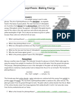 Kami Export - Jordin Hankerson Cayetano - Photosynthesis - Cellular Respiration Worksheet