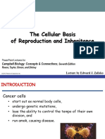 BIO105 Chptr8