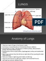 Respiratory System 2024