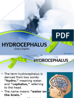 Hydrocephalus