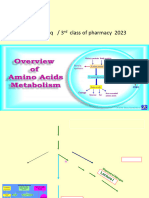 Amino Acid Metabolism I 10-14-08