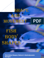 Group 6 Fish Body Shape and Movements