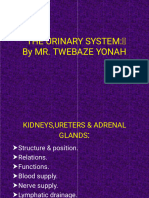 YONAH KIDNEY PRESENTATION Summary