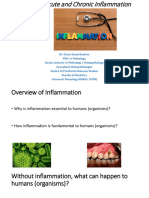 Inflammation 2022 DR Omar