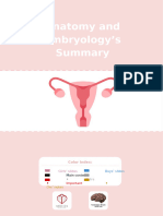 Anatomy and Embryology - S Summary