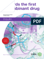 insulin_EN