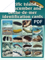 Pacific Island Sea Cucumber and Beche-De-mer Identification Cards