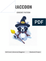 Raccoon Wizard