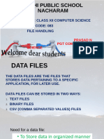 Class 12 CS  File Handling (1)