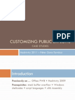 Customizing Public Exploits