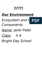 2 Term: Our Environment