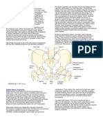 Pelvis: Stable Pelvic Fractures