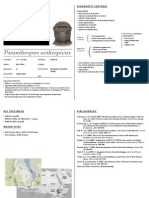 Paranthropus Aethiopicus - Cheatsheet