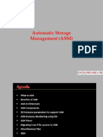 Automatic Storage Management (ASM)