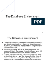 The Database Environment