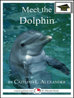 Meet the Dolphin: Educational Version