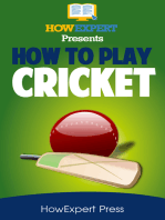 How To Play Cricket