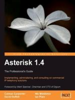 Asterisk 1.4 : The Professional’s Guide