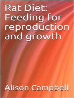 Rat Diet: Feeding for Reproduction and Growth