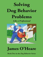 Solving Dog Behavior Problems Like A Professional