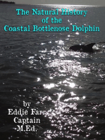 The Natural History of the Coastal Bottlenose Dolphin