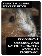 Ecological Observations on the Woodrat, Neotoma floridana