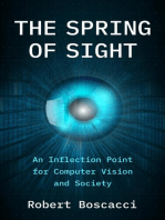 The Spring of Sight: An Inflection Point for Computer Vision and Society