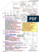 ECG Interpretation Cheat Sheet